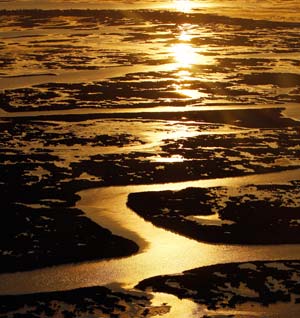 oil-spill-getty images